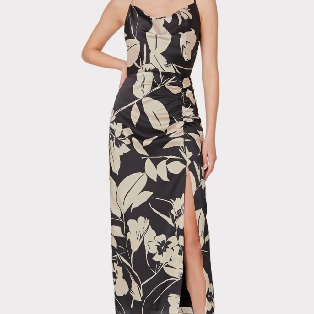 Milly Liliana Winter Floral Print Dress NWT size 8